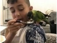 lynsey_eastman - Birdtrader