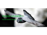 City Couriers and Courier Services Ltd - Birdtrader