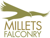Millets Falconry Centre - Birdtrader